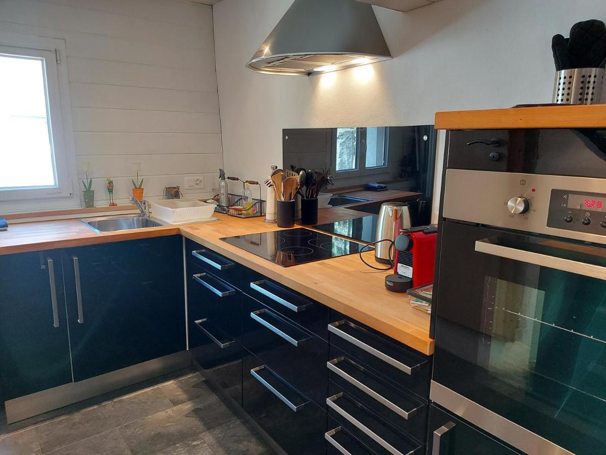 Appartement Voute En Gruyere Dans L'Intyamon Enney المظهر الخارجي الصورة